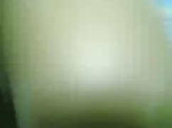 Meleg, Leszbikus, Sz ...
