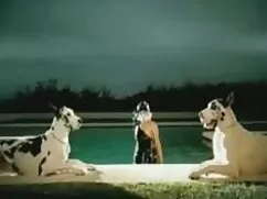 Egy szexi fiatal lán ...