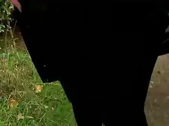 Videó pornó Bébi sim ...